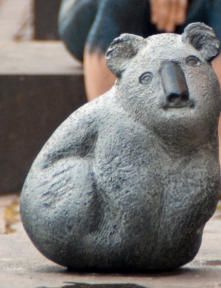 "Koala"     -     "Metamorphose"